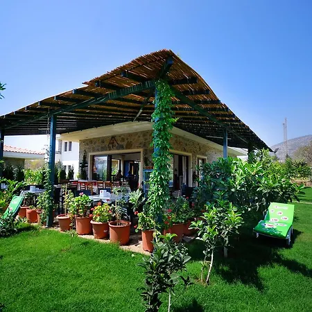 Filiz Hotel *