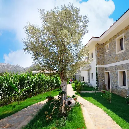 Hotel Filiz Datca