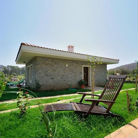 Hotel Filiz Datca