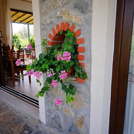 Hotel Filiz Datca