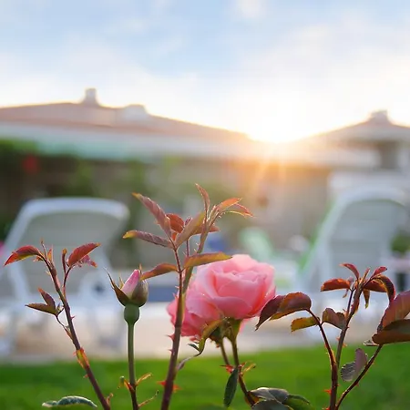 Filiz Hotel