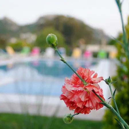 Hotel Filiz