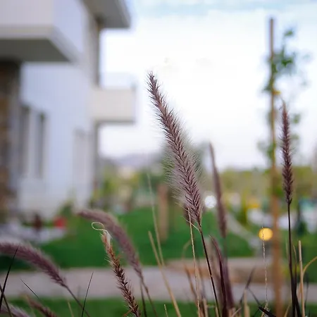 Hotel Filiz *